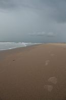 Casamance 42
